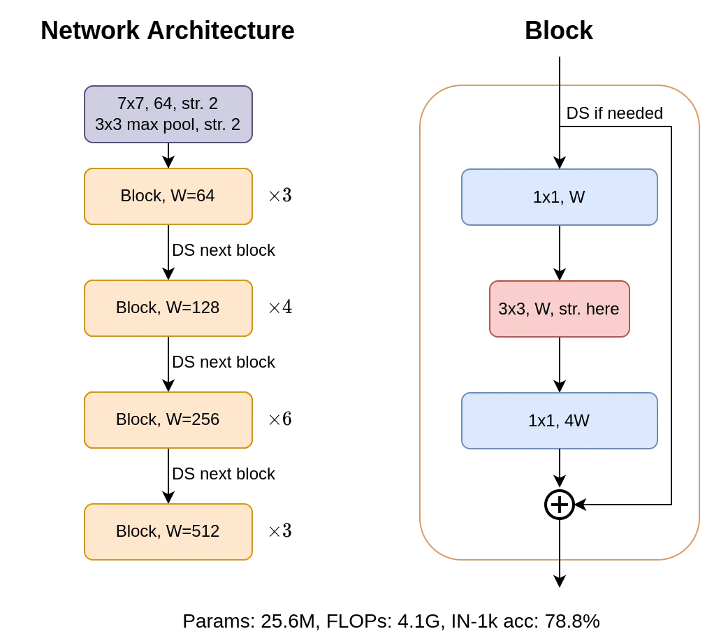 ResNet-50 architecture